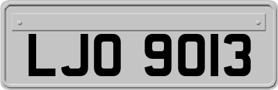 LJO9013