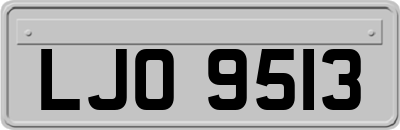 LJO9513