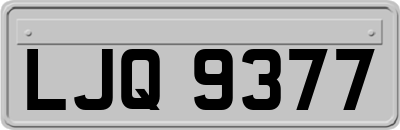 LJQ9377