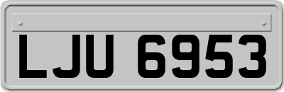 LJU6953