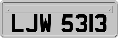 LJW5313