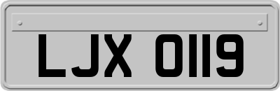 LJX0119