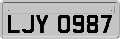 LJY0987