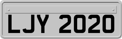 LJY2020