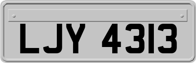 LJY4313
