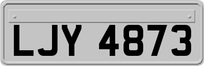 LJY4873