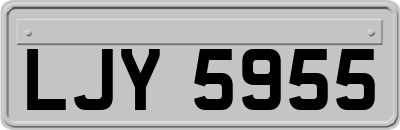 LJY5955