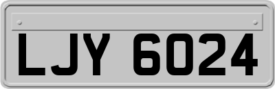 LJY6024