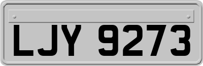 LJY9273