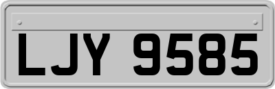 LJY9585