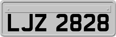 LJZ2828