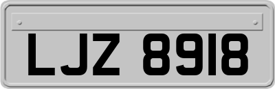 LJZ8918