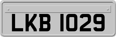 LKB1029