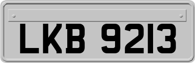 LKB9213