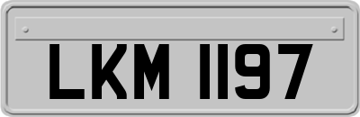 LKM1197