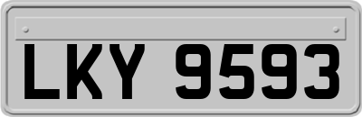 LKY9593