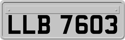LLB7603
