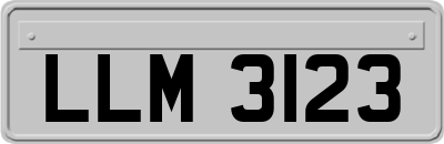 LLM3123