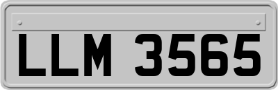 LLM3565