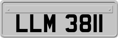 LLM3811