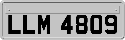 LLM4809