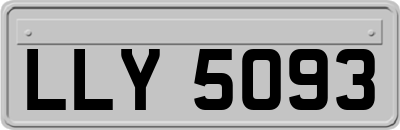 LLY5093