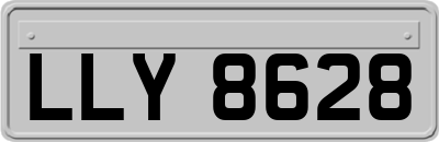 LLY8628