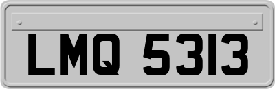 LMQ5313