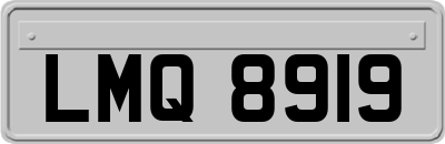 LMQ8919