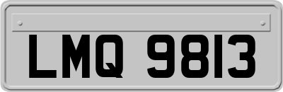 LMQ9813
