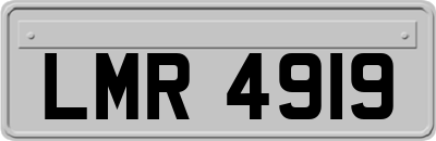 LMR4919