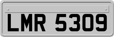 LMR5309