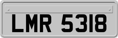 LMR5318