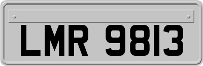 LMR9813