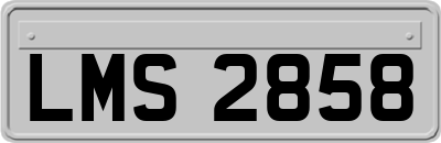 LMS2858