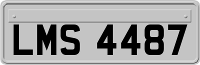 LMS4487