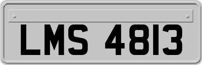 LMS4813