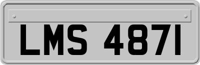 LMS4871