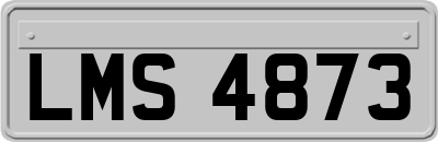 LMS4873