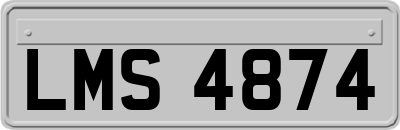 LMS4874
