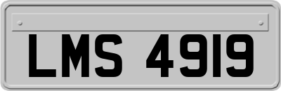 LMS4919