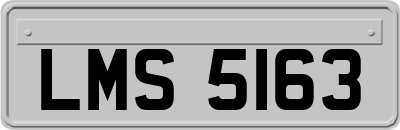 LMS5163