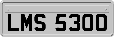 LMS5300