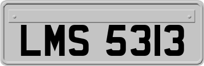 LMS5313