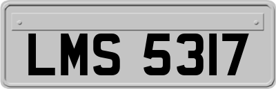 LMS5317
