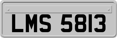 LMS5813
