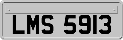LMS5913