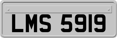 LMS5919