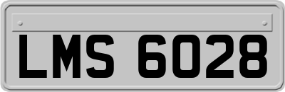 LMS6028