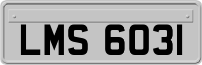 LMS6031